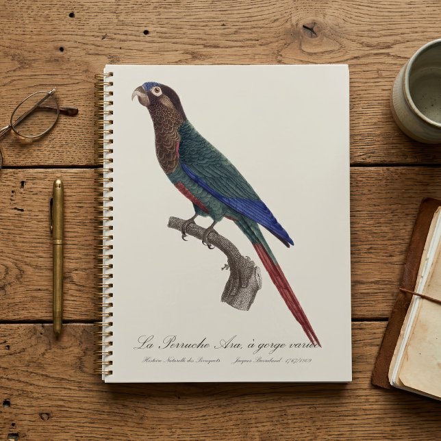 La conure emmaillotée, Pyrrhura Picta (The Painted Parakeet, Pyrrhura Picta. Planner)