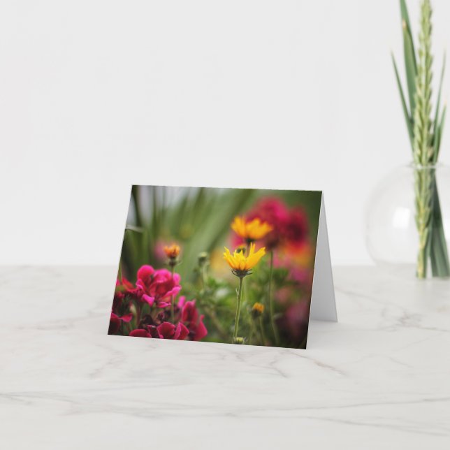 La couleur des cartes de notes d'été (Devant)