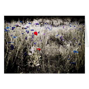 La couleur d'isolement fleurit la carte