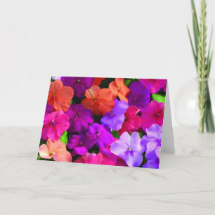 La couleur multi fleurit la carte - blanc