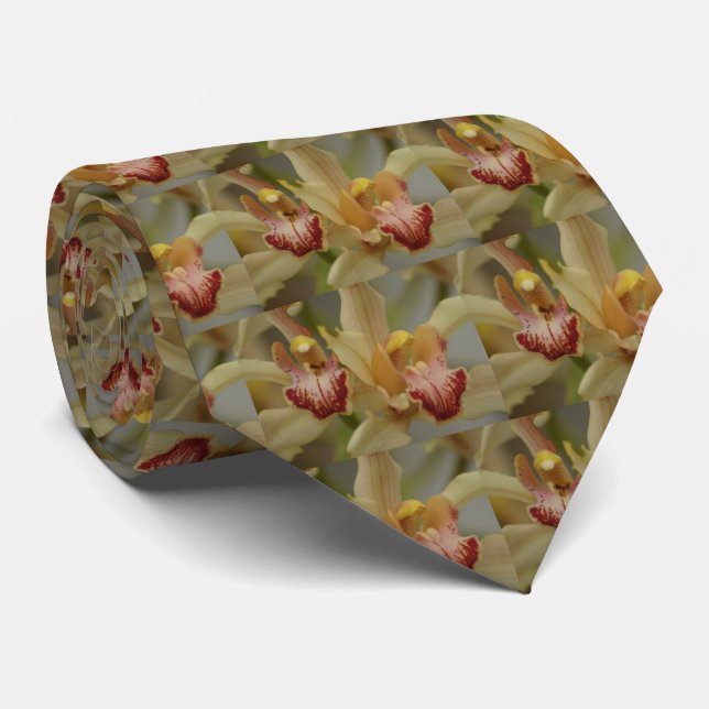 La cravate des hommes de plaisir de Cymbidium (Roulé)