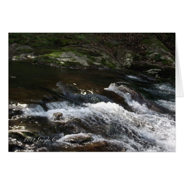 La crique des Appalaches (Devant horizontal)