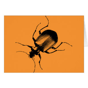 La Cucaracha
