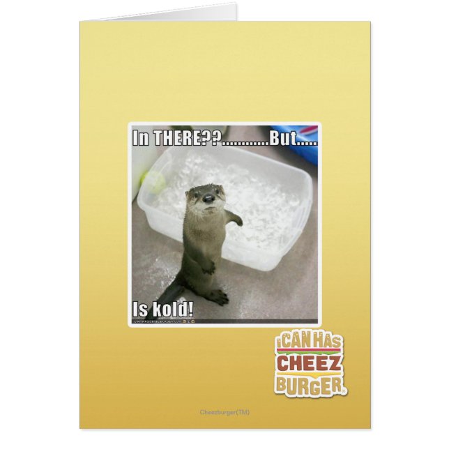 Là-dedans ? Est Kold ! (Devant)