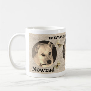 La délivrance de Nowzad poursuit la tasse