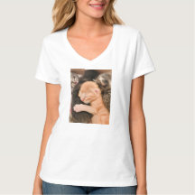 La famille est tout, T-Shirt chaton