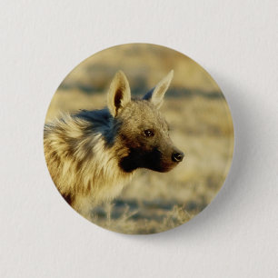 La faune d'hyène Brown badges des boutons