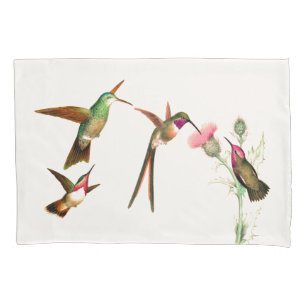 La faune d'oiseaux de colibri fleurit la taie