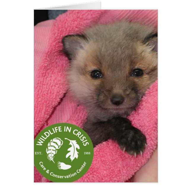 La faune en crise (Devant)