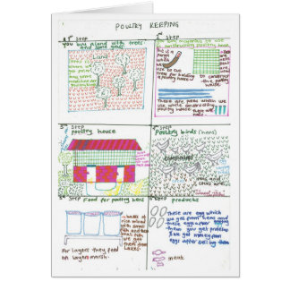 La ferme avicole d'Erinah