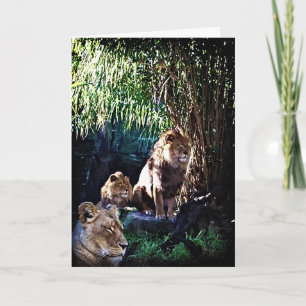 La Fierté, carte de voeux