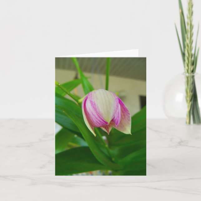 La fleur d'orchidée s'ouvre sur une carte blanche (Devant)
