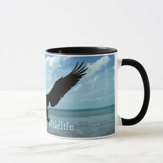 La Floride verrouille l'art de tasse de café (Droite)