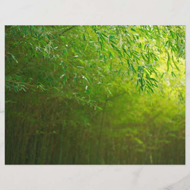 La forêt de Bambou (Devant)