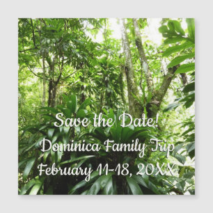 La forêt dominicaine I Tropical Sauvez la date