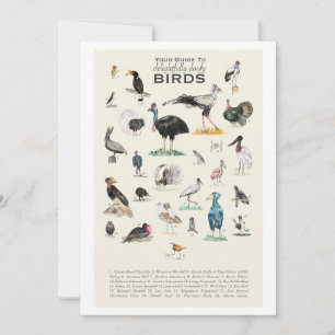 La Galerie des Oiseaux délicieusement Doofy 5x7 Ca