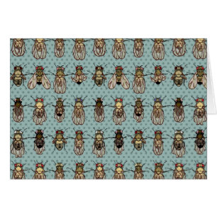 La génétique de mouche à fruit de drosophile