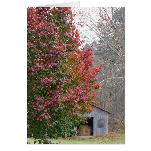 La grange de Liz à l'automne (Devant)