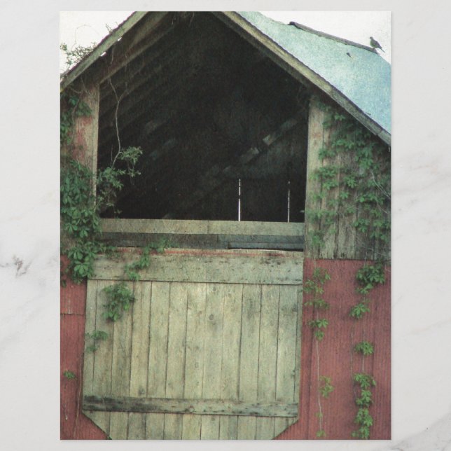 La grange d'Ivy (Devant)