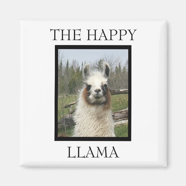 LA JOLIE MAGNET DE LAMA (Devant)