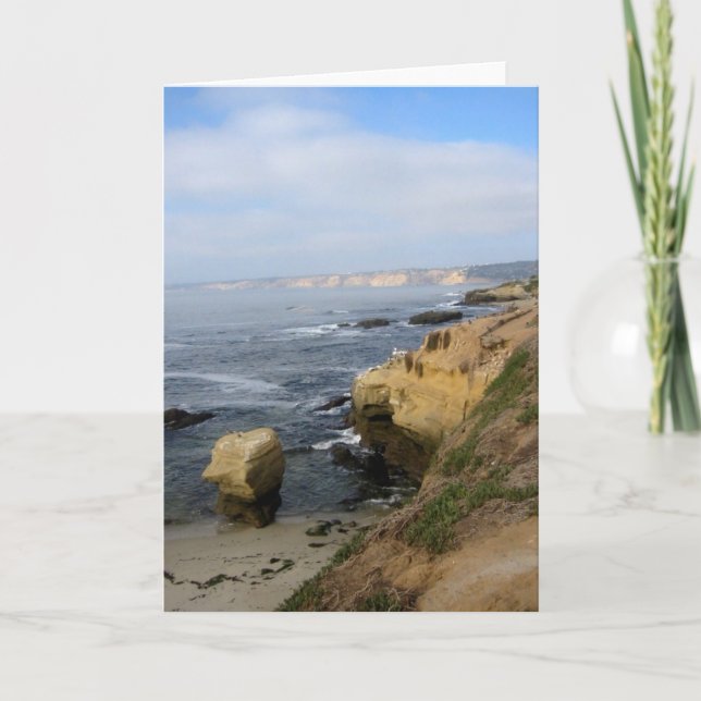 La Jolla Cove Beach Seabirds Carte de voeux person (Devant)