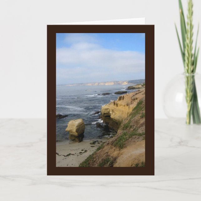 La Jolla Cove Beach Seabirds Carte de voeux person (Devant)