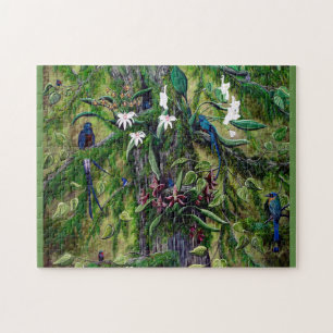 La jungle du puzzle du Guatemala