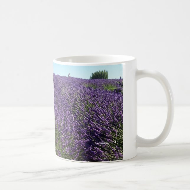 La lavande met en place Sequim, tasse de WA (Droite)