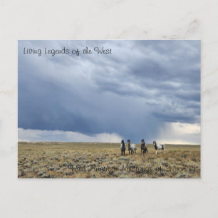La légende vivante de l'Occident - Carte postale
