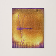 La libellule et le puzzle de Sun