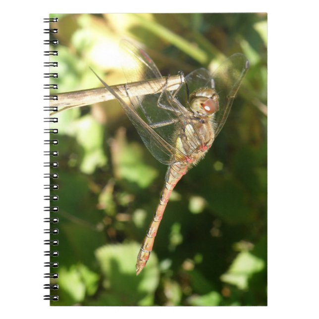 La libellule sur un Carnet de brindilles (Devant)