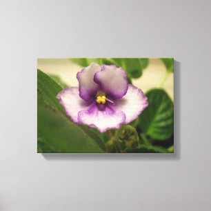 La Lily du jour parfaite sur toile
