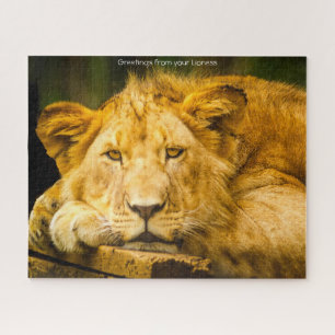 La lionne Big Cats. Jigsaw Puzzle
