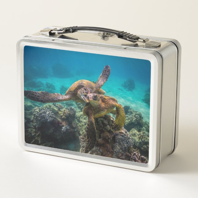 La Lunchbox de Honu (Dos)