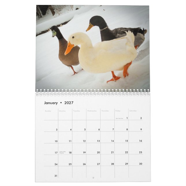 La marche penche le calendrier 2015 (Jan 2027)