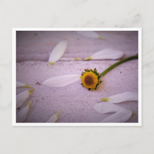 "La Margaret a dit : OUI !" carte postale