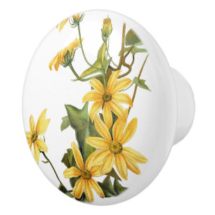 La marguerite vintage fleurit le bouton floral de