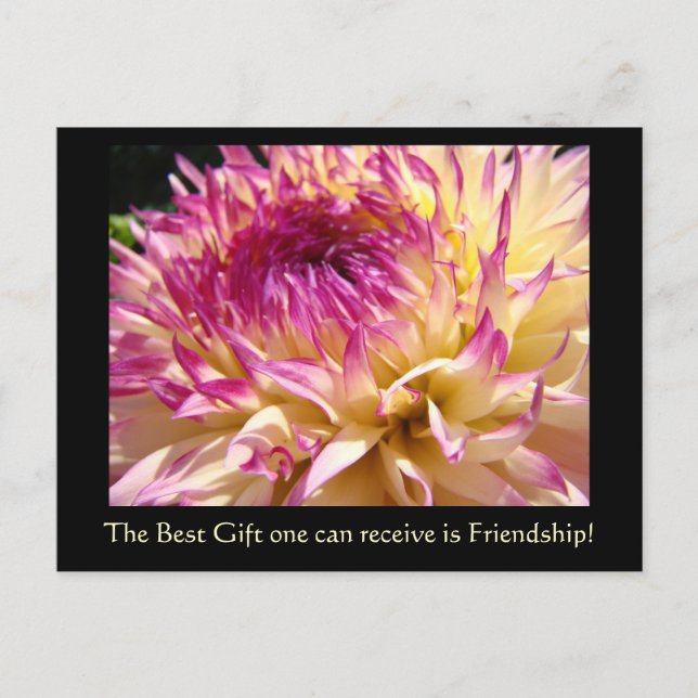La meilleure carte postale d'amitié de fleurs de d (Devant)