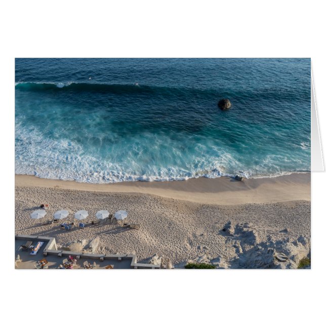 La mer de Cortez (Devant Horizontal)