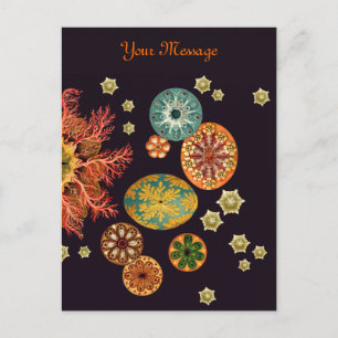 La mer injectent remélangent la carte postale