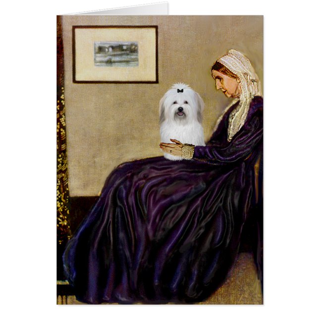 La mère de l'homme qui sifflait - Coton de Tulear  (Devant)