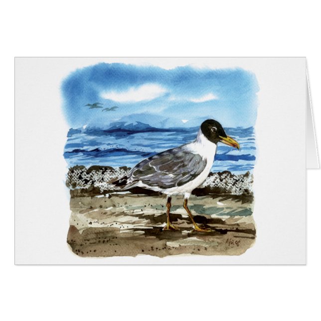 La mouette de Pallas (Devant horizontal)