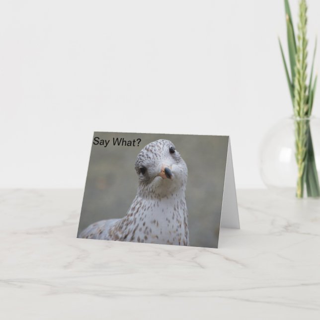 La mouette indiquent ce qui ? Carte de note (Devant)