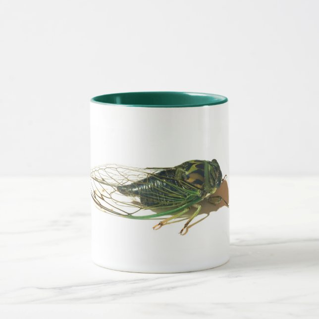 La Mug annuelle de Linne's Cicada (Neotibicen linn (Centre)