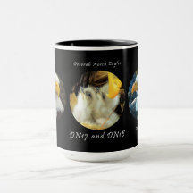 La Mug de la famille des aigles du nord de Decorah
