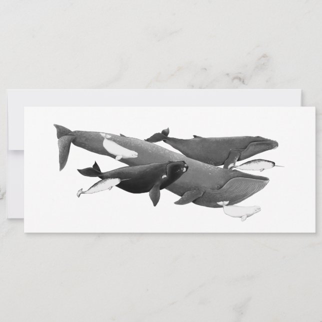 La Nage Des Baleines Illustration Art Whale Card (Devant)