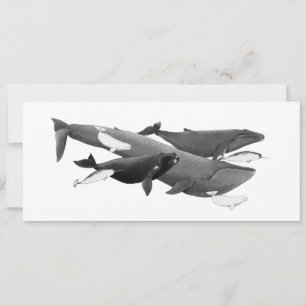 La Nage Des Baleines Illustration Art Whale Card