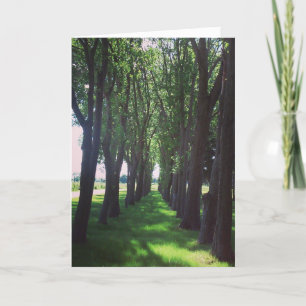 "La nature est Cool" Carte du puits