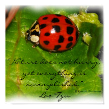 La Nature ne se dépêche pas Poster