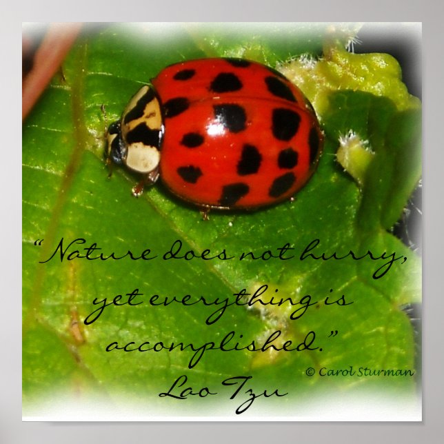 La Nature ne se dépêche pas Poster (Devant)